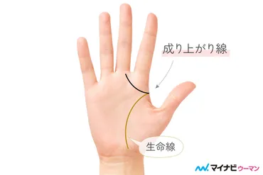 手相の秘密：あなたの運命と成功へのヒント？幸運を呼ぶ手相：成り上がり線から五芒星、そして六芒星へ