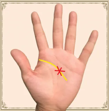 手相に星「スター線」があると幸運!宝くじが当たるって本当!? – バランガンメディア