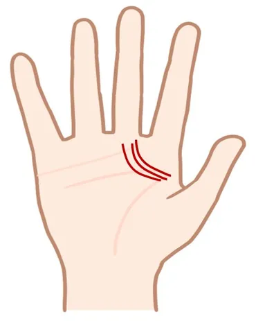 手相の神秘！「千金紋」であなたの運命は変わる？努力が実る幸運の手相：成り上がり線