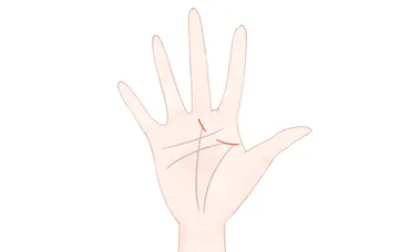 成り上がり線(千金紋)の見方