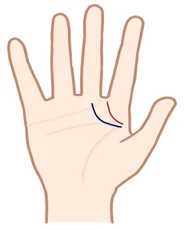 成り上がりの手相「千金紋」とは？あなたの手相で未来を読み解く！（手相、千金紋、運勢）？「千金紋」の見つけ方と、その意味を徹底解説