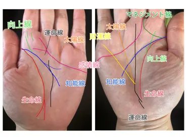 手相の成り上がり線(千金紋)と間違いやすい?マネジメント線とは!