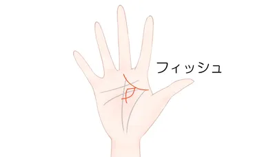 成り上がり線(千金紋)の見方