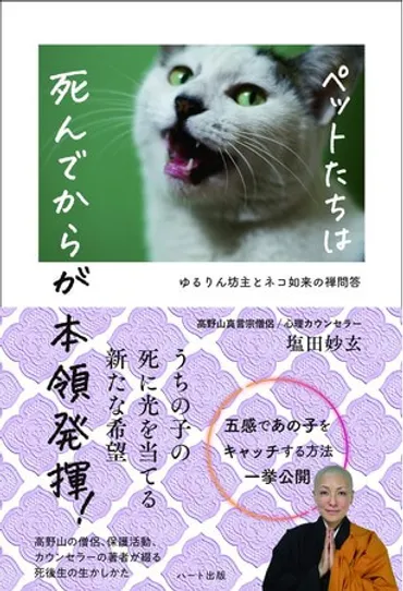 命の奇跡や愛する幸せを教えてくれた「うちの子」。あの子の死を通して人生に新たな希望を見いだす『ペットたちは死んでからが本領発揮!』発売