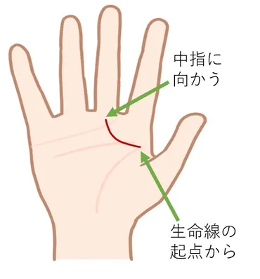 千金紋(成り上がり線)の意味・男女別の特徴・宝くじが当たる?