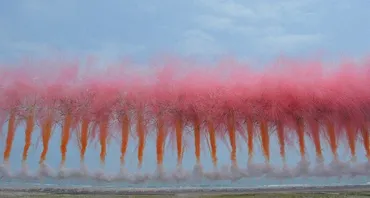 ART:蔡國強展 国立新美術館で 「ビッグバン」に立ち返る 先月、福島・いわきで鎮魂の花火