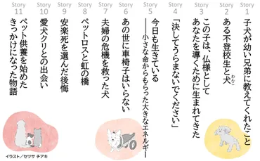 ペットとの出会いと別れが人生を変える!『愛犬が最後にくれた「ありがとう」』発売