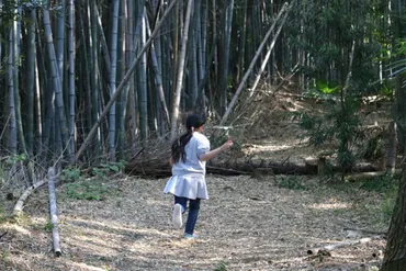追いかけられる夢は何を意味する？夢占いを通して紐解く深層心理と対策？夢占い：追いかけられる夢の意味を徹底解説！原因と対策、夢診断のヒント