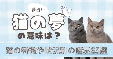 猫に噛まれる夢占い：恋愛や人間関係に潜む問題と注意点(？マーク)猫に噛まれる夢の意味：場所、種類、状況別の解釈