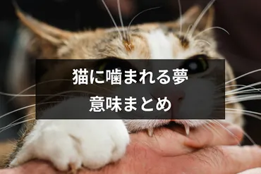 猫に噛まれる夢はトラブルの暗示?噛まれた部位・シチュエーション別の夢占い