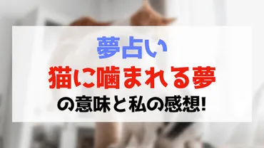 夢占いで「猫に噛まれる夢」の意味を私の感想と共に徹底解説!