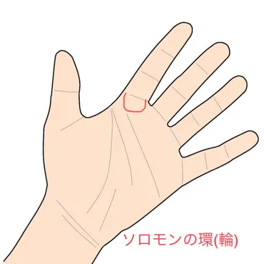 ソロモンの環(輪)の意味って?写真付きの見分け方や右手・左手・両手にある意味など占い師が解説