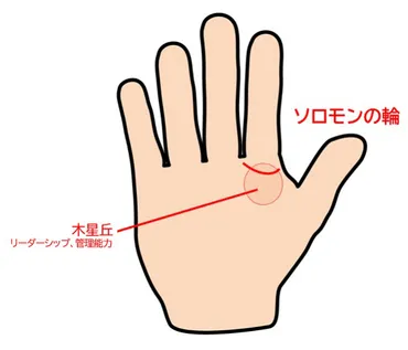 手相占い】ソロモンの輪は尊敬される人の手に現われる? その意味と見方をチェック