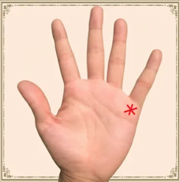 手相に星「スター線」があると幸運!宝くじが当たるって本当!? – バランガンメディア