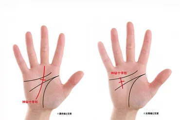 手相占い徹底解説!7大線と幸運な手相7選!│資格のキャリカレ
