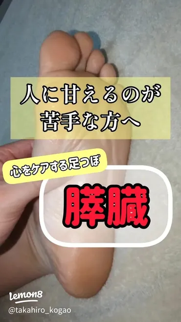 膵臓が示す心のメッセージと健康