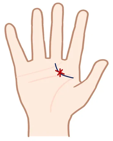 千金紋(成り上がり線)の意味・男女別の特徴・宝くじが当たる？