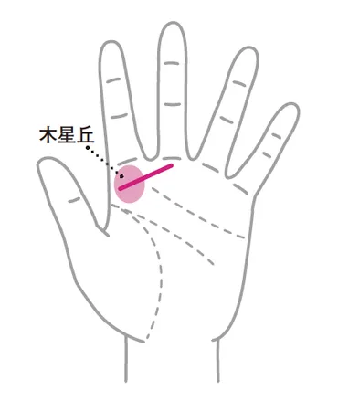 管理能力や経営能力に優れている人が持つ『マネジメント線』とは!?【手相の教科書】