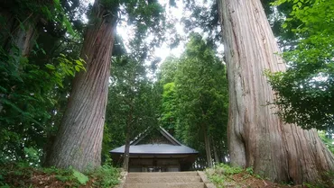 戸隠神社 火之御子社へ行く前にチェック!地元民が教える見どころ