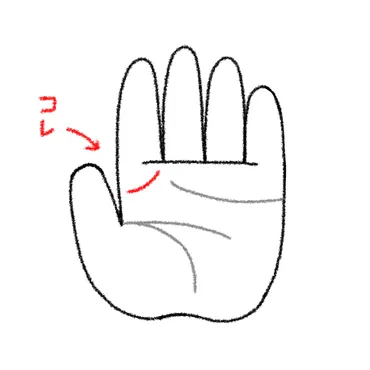 手相占い『マネジメント線』であなたの才能が開花？ 隠れた能力を読み解く方法とは？手相が示す、あなたのリーダーシップと可能性