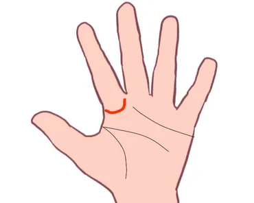 手相】マネジメント線(リーダー線)はリーダーの資質に欠かせない線!