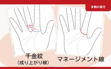 人差し指を囲むようにでる『千金紋』と『マネージメント線』