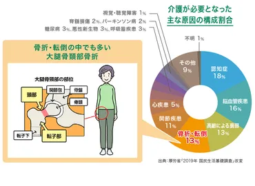 第2回】リハビリテーションの4つのステージとは~骨折したらどうなるの?~