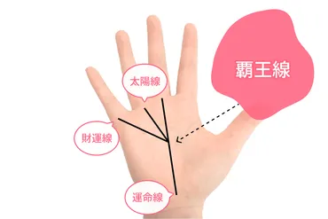 手相占い師が教える！スター線(星紋)の秘密とは？幸運のサイン？宝くじ？幸運の象徴「スター線」の秘密：現れる場所と意味、開運方法を徹底解説！
