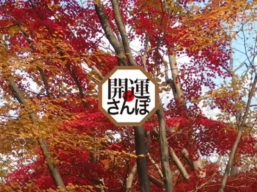 開運カレンダー】11月のカレンダー「新嘗祭」 : 開運さんぽ