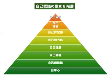 自己肯定感や自己効力感、自尊心など認識8階層で高低値の診断と対策