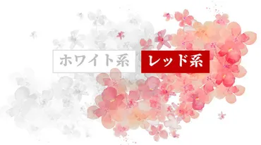 八白土星の2026年 運勢と吉方位