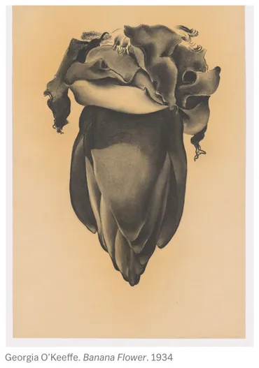 Georgia O゛Keeffe☆ジョージア・オキーフ展