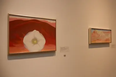 草間彌生も憧れたアーティスト、 ジョージア・オキーフの生き様 ...