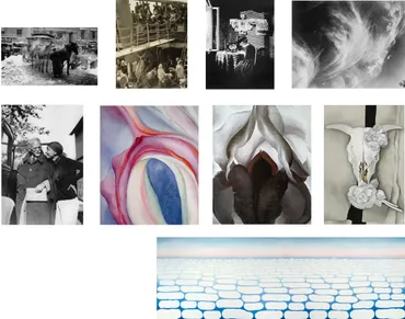 オキーフとスティーグリッツ : 星置バックヤード日誌