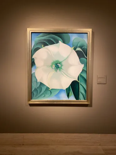 ティッセンで開催されたジョージア・オキーフの回顧展へ – oh,nocia