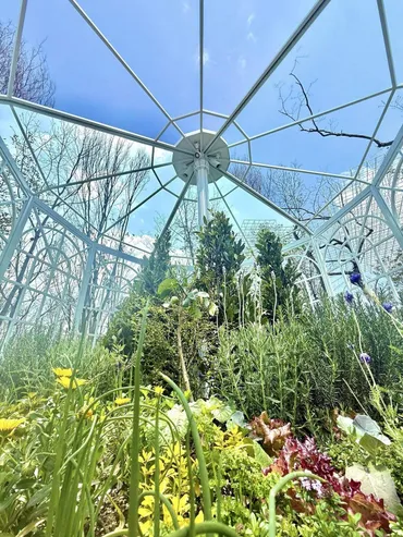 未来につながる森 EXPO2025 静けさの森 アートプロジェクト ...