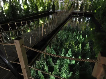 レアンドロ・エルリッヒ 新作「森の芸術祭 晴れの国・岡山」にて ...