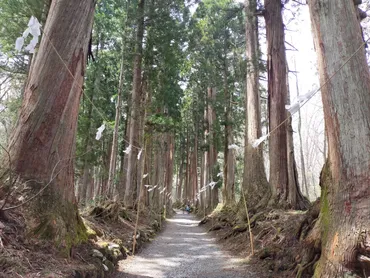 戸隠神社 五社巡り完全ガイド：パワースポット巡りで開運！（長野県、御朱印、アクセス方法は？）戸隠神社五社巡りの魅力：ルート、ご利益、そして旅のヒント