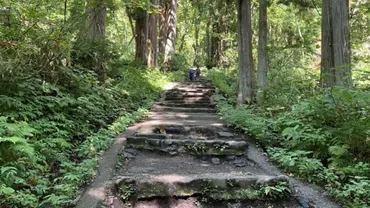 【長野市】戸隠神社五社巡りの反省点とまとめ 