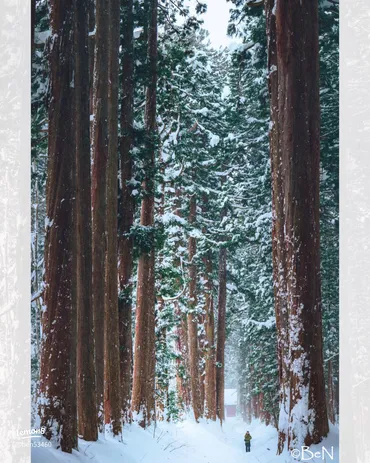 戸隠神社の冬景色は神秘的？アクセス、服装、イベント情報もご紹介！冬の戸隠神社参拝ガイド：雪景色と安全対策