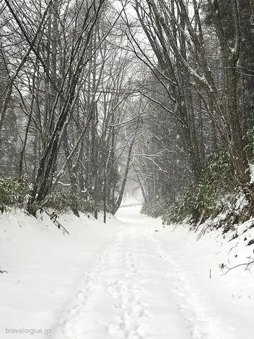 冬の戸隠神社への行きかた（路線バス）写真有り 