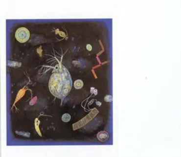 堀文子とミジンコと坂田明 