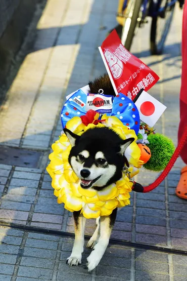 三浦憲治が写真集『ミウラヒロシマ』を発売！故郷の日常を約11年間撮影 