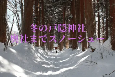 冬の戸隠神社】奥社までスノーシューしてみた!感想と10のポイント
