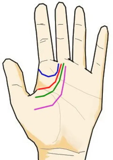 千金紋（成り上がり線）の真実：人差し指の下に宿る成功の運命 