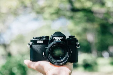 ニコンのフィルムカメラFE2を買いました！仕様や撮った写真を載せてみます 