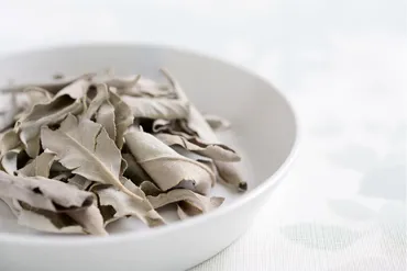 最近ツイてない」を浄化で心機一転! 自宅で簡単、ホワイトセージを使った幸運アクション