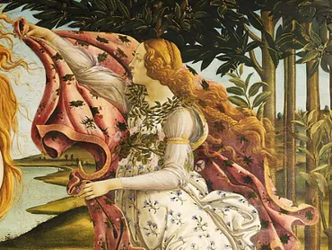 ボッティチェッリ《ヴィーナスの誕生》〜隠すほどに見せてしまう、恥じらいと誘発のはざまで 