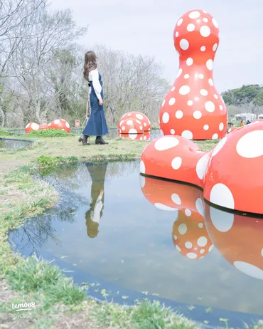 千葉県のクルックフィールズ：草間彌生のアートと自然の融合