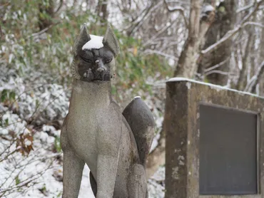 雪の戸隠古道ウォーク: 初冬の奥社参拝と森林植物園。戸隠蕎麦も満喫